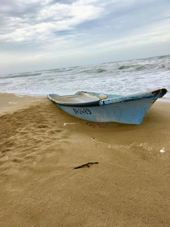 Sérignan Beach, Wine, Dining, Sports, Summer, Winter 아파트 외부 사진