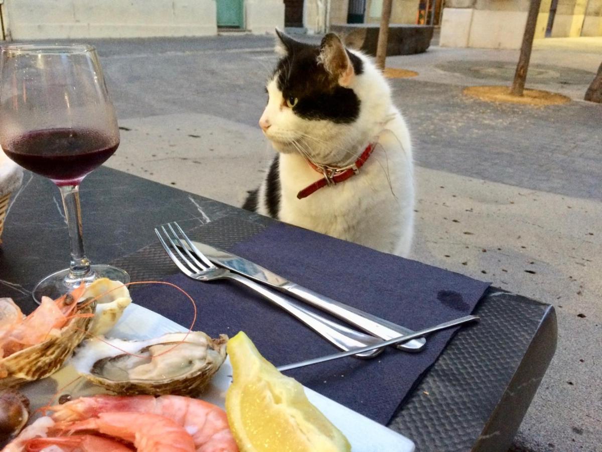 Sérignan Beach, Wine, Dining, Sports, Summer, Winter 아파트 외부 사진