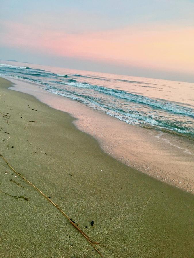 Sérignan Beach, Wine, Dining, Sports, Summer, Winter 아파트 외부 사진